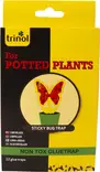 Liima-ansa Sticky Bug Trap 12 kpl/pkt - Puutarhan torjunta-aineet - 5703071020155 - 1