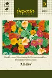 Pensasköynnöskrassi Alaska - Kukkien ja koristeheinien siemenet - 7332756288115 - 0