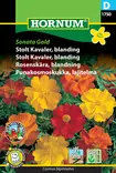 Punakosmoskukka, lajitelma Sonata Gold - Kukkien ja koristeheinien siemenet - 5708787017505 - 0