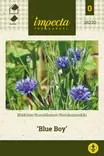 Ruiskaunokki Blue Boy - Kukkien ja koristeheinien siemenet - 7332756282205 - 1