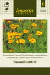 Ryhmäsamettikukka Ground Control - Kukkien ja koristeheinien siemenet - 7332756235225 - 0
