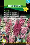 Sormustinkukka, Rohto-, lajitelma Mervit - Kukkien ja koristeheinien siemenet - 5708787016805 - 0