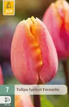 Tulppaani Apricot Favourite 7 kpl/pkt - Tulppaanit - 8712438502095 - 1