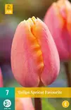 Tulppaani Apricot Favourite 7 kpl/pkt - Tulppaanit - 8712438502095 - 2