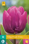 Tulppaani Purple Prince 7 kpl/pkt - Tulppaanit - 8712438982385 - 2