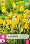 Tulppaani Sylvestris 20 kpl/pkt - Tulppaanit - 8712438975295 - 2