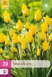 Tulppaani Sylvestris 20 kpl/pkt - Tulppaanit - 8712438975295 - 1