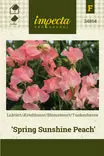 Tuoksuherne Spring Sunshine Peach - Kukkien ja koristeheinien siemenet - 7332756248645 - 1