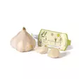 Valkosipuli Messidrome Luomu 1 kpl/pkt - Siemenet ja sipulit - 7312600043725 - 2