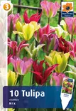 Viherraitatulppanilajitelma 6 kpl/pkt - Tulppaanit - 8711148314165 - 1