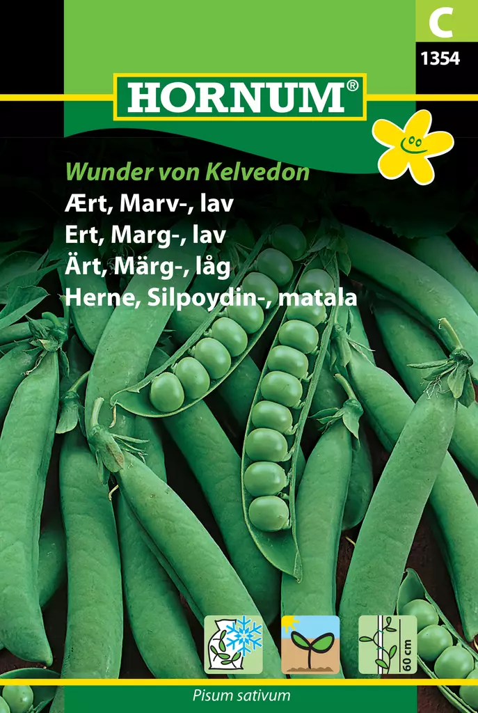Herne, Silpoydin-, matala Wunder von Kel - Vihannesten ja yrttien siemenet - 5708787013545 - 0
