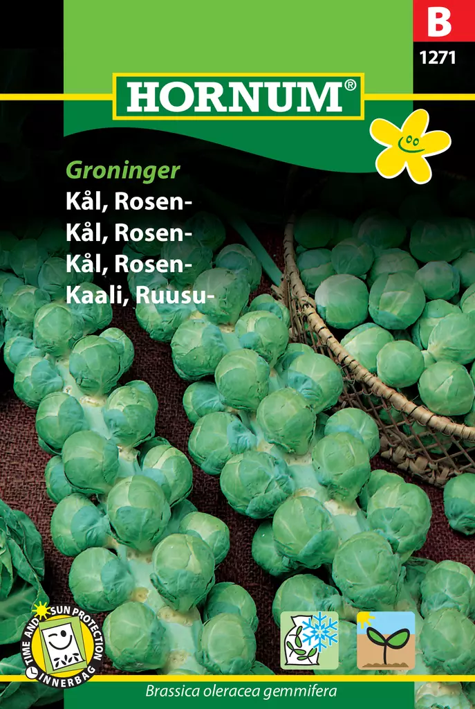 Kaali, Ruusu- Groninger - Vihannesten ja yrttien siemenet - 5708787012715 - 0