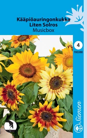 Kääpiöauringonkukka Musicbox annos - Kukkien ja koristeheinien siemenet - 6415151933505 - 1