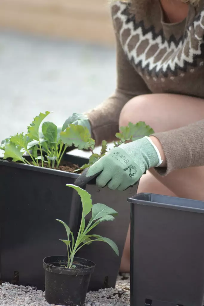 Käsine Comfort vihreä 10 - Puutarhahanskat - 7312600372665 - 1