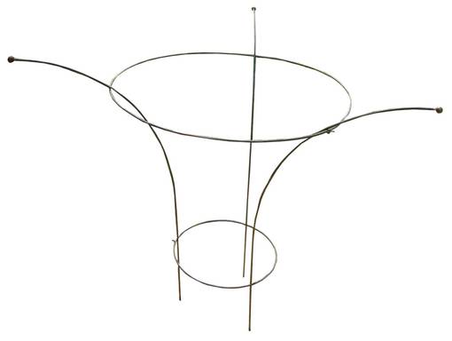 Kasvituki Pioni, kork. 60 cm - Muut puutarhatarvikkeet - 6416556924075 - 1