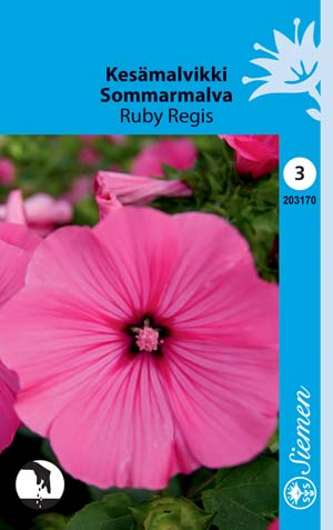 Kesämalvikki Ruby Regis - Kukkien ja koristeheinien siemenet - 6415152031705 - 1