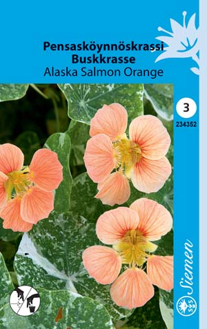 Pensasköynnöskrassi Alaska Salmon Oran - Kukkien ja koristeheinien siemenet - 6415152343525 - 1