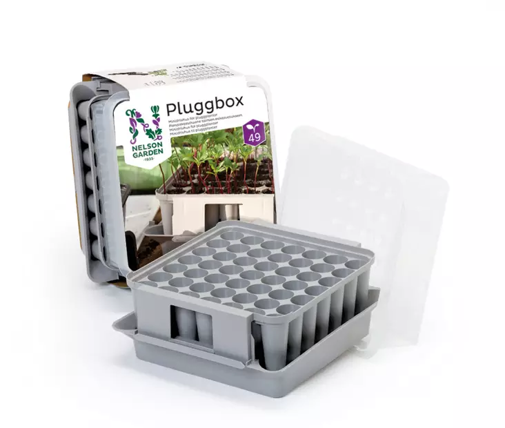 Pluggbox juurrutuslaatikko - Taimien kasvatusruukut - 7312600056985 - 2