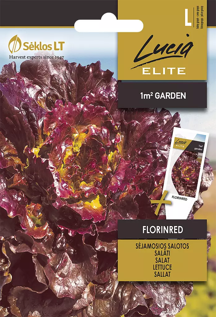 SALAATTI ELITE FLORINRED - Vihannesten ja yrttien siemenet - 4770168913745 - 0