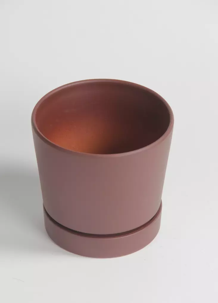 Suojaruukku Melker ø13 cm - Suojaruukut ja -korit - 7340135934065 - 1