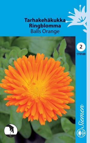 Tarhakehäkukka Balls Orange - Kukkien ja koristeheinien siemenet - 6415151701005 - 1