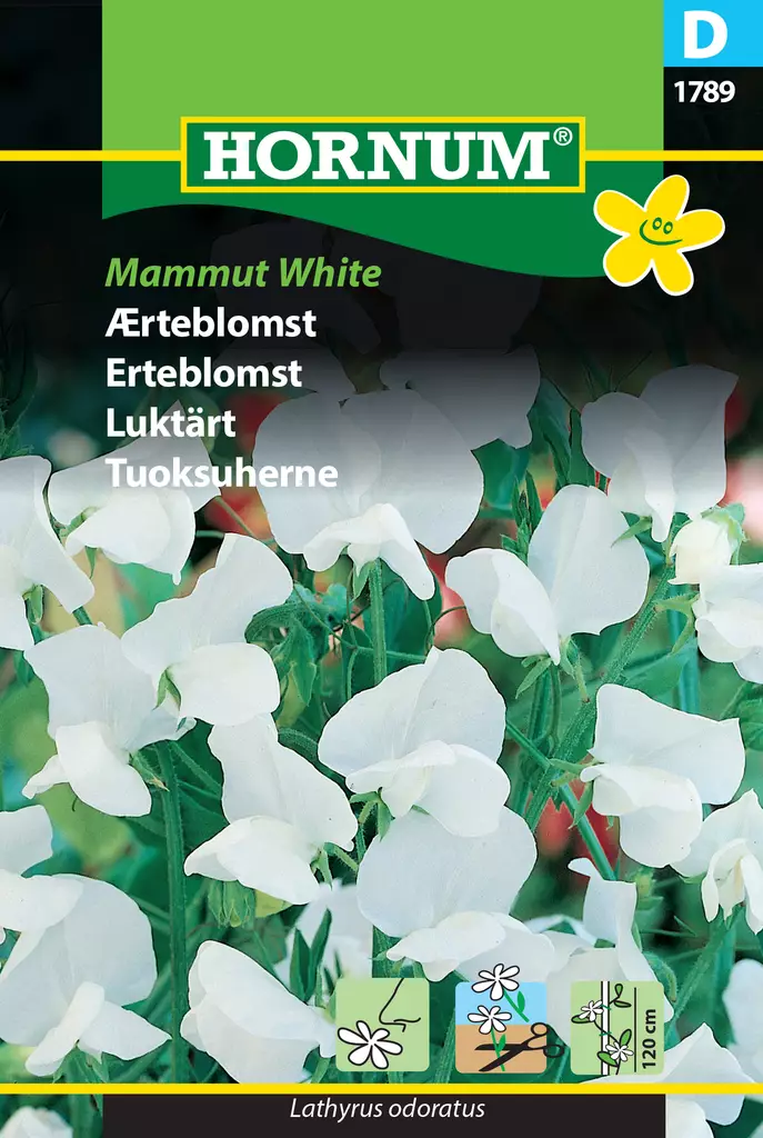 Tuoksuherne Mammut White - Kukkien ja koristeheinien siemenet - 5708787017895 - 0
