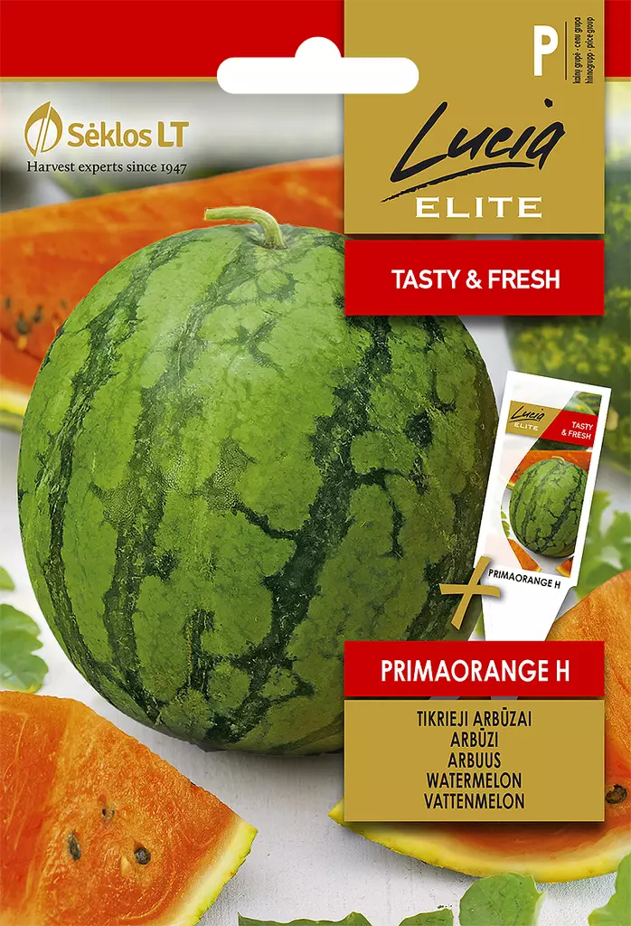 VESIMELONI ELITE PRIMAORANGE H - Vihannesten ja yrttien siemenet - 4770168103115 - 0