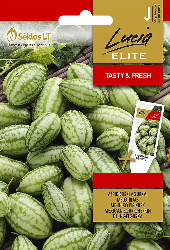 VIIDAKKOKURKKU ELITE - Vihannesten ja yrttien siemenet - 4770168305045 - 0