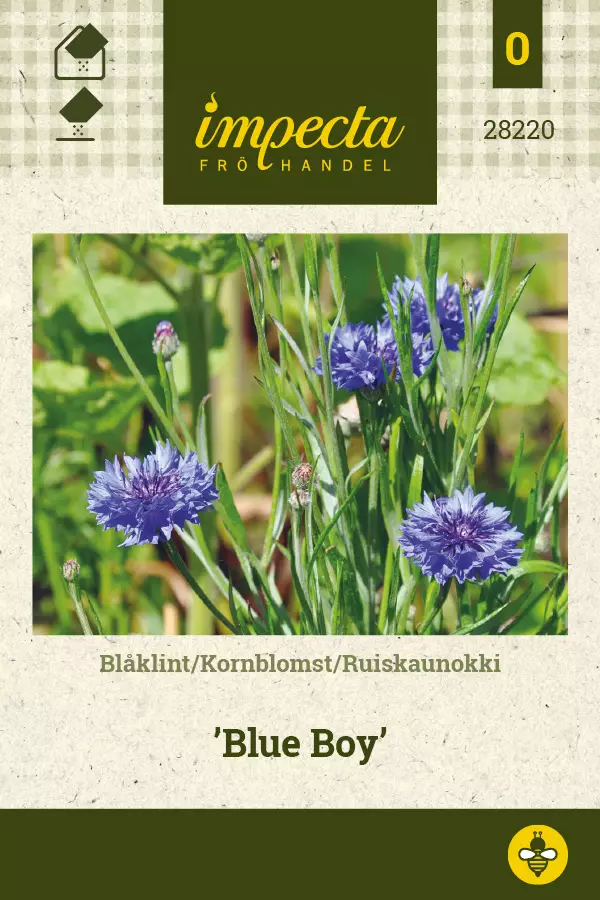 Ruiskaunokki Blue Boy - Kukkien ja koristeheinien siemenet - 7332756282205 - 1