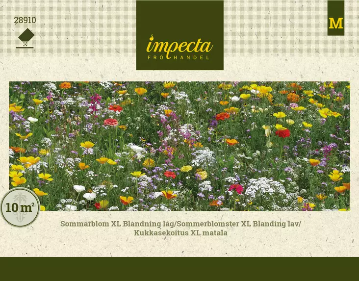 Kesäkukkasekoitus XL, matala - Kukkien ja koristeheinien siemenet - 7332756289105 - 1