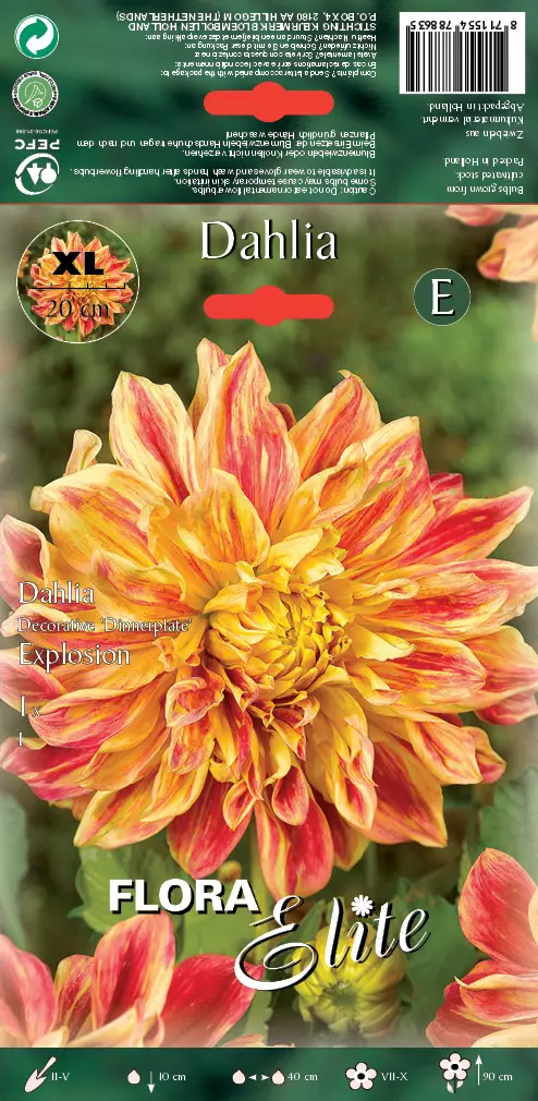 Daalia Explosion 1 kpl/pkt - Daaliat - 8711554788635 - 1