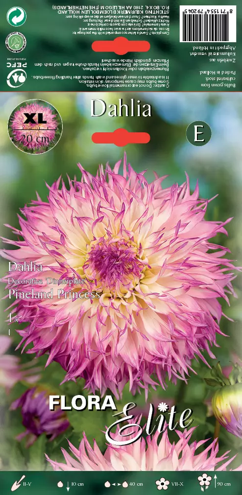 Daalia Pineland Princess 1 kpl/pkt - Daaliat - 8711554792045 - 1