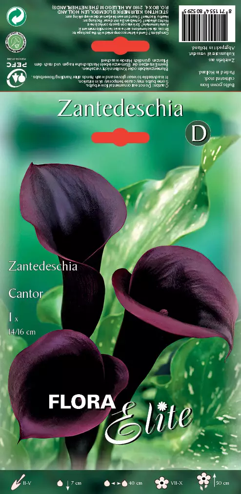 Huonevehka Cantor - Kukkasipulit - 8711554805295 - 1