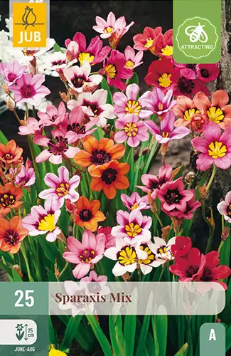 Harlekiinikukat Mix 25 kpl/pkt - Muut kukkasipulit - 8712438626555 - 1