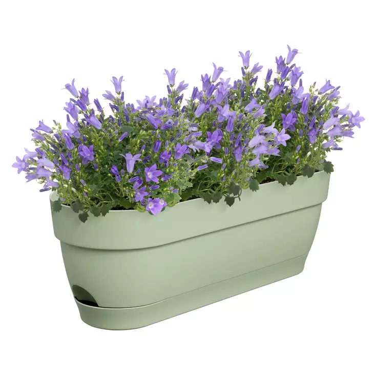 Elho Parvekelaatikko Vibia Campana 50 cm - Ruukut ja korit - 8711904521745 - 1