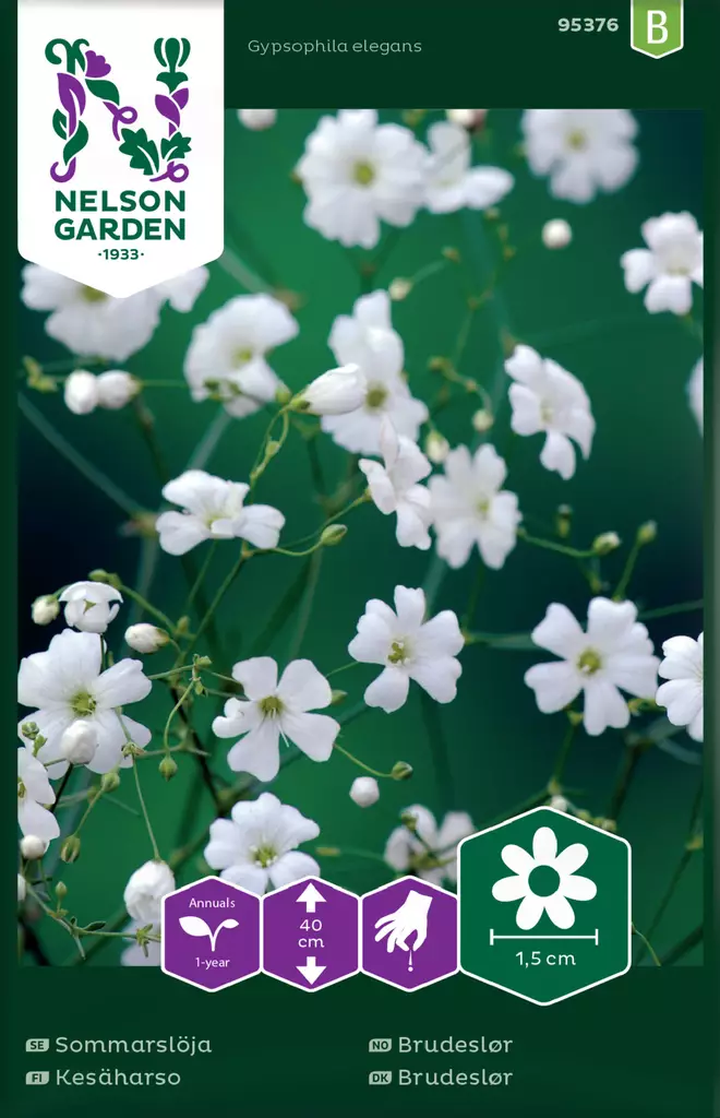 Harso, Kesä- - Kukkien ja koristeheinien siemenet - 7312600953765 - 0