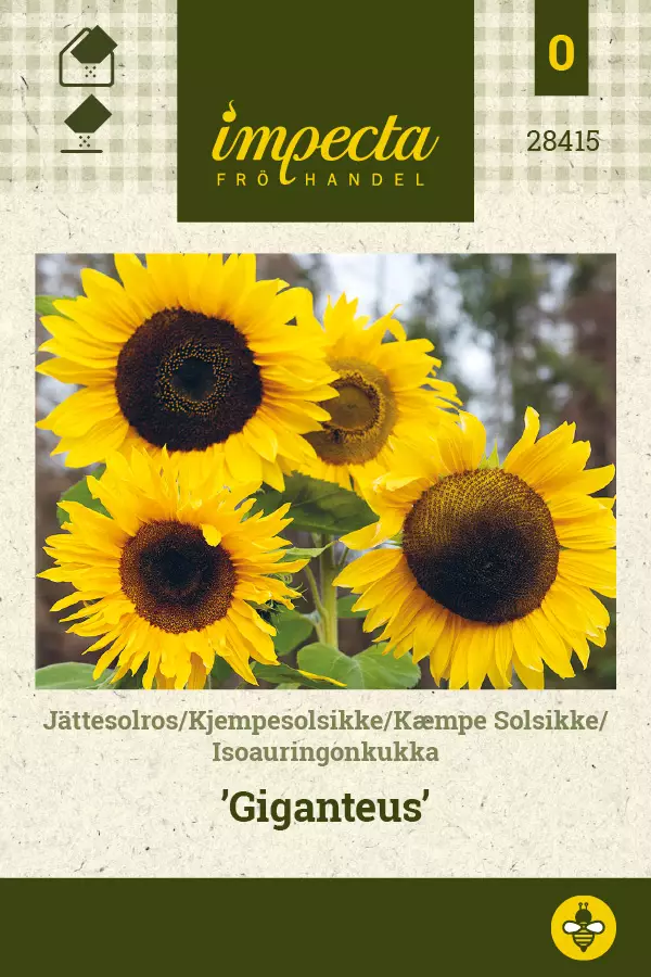 Isoauringonkukka Giganteus - Kukkien ja koristeheinien siemenet - 7332756284155 - 0