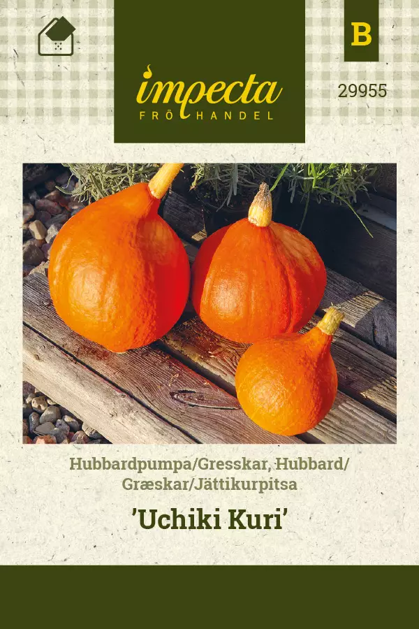 Jättikurpitsa Uchiki Kuri - Vihannesten ja yrttien siemenet - 7332756299555 - 0