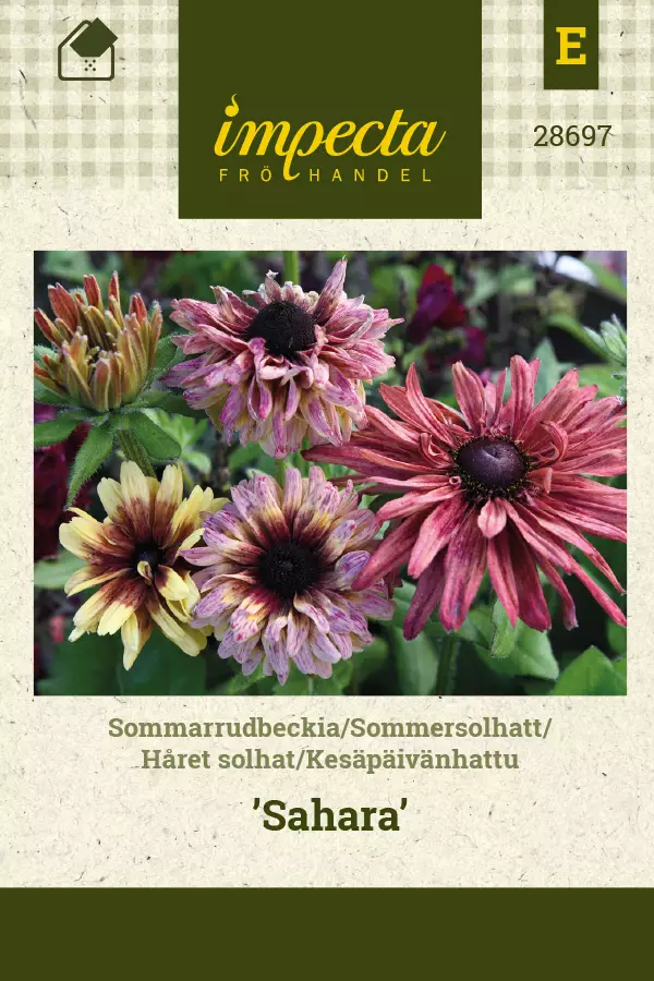 Kesäpäivänhattu Sahara - Kukkien ja koristeheinien siemenet - 7332756286975 - 1