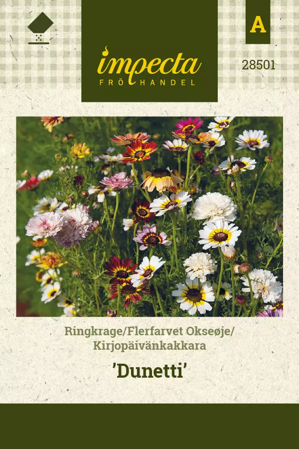 Kirjopäivänkakkara Dunetti - Kukkien ja koristeheinien siemenet - 7332756285015 - 0