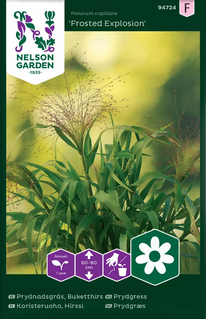 Koristeruoho, Hirssi, Frosted Explosion - Kukkien ja koristeheinien siemenet - 7312600947245 - 0