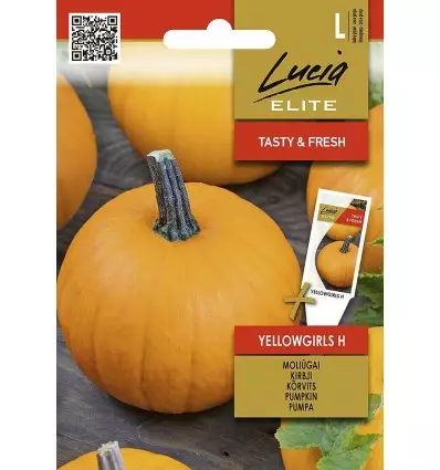 Kurpitsa Elite Yellowgirls H - Vihannesten ja yrttien siemenet - 4770168928565 - 1