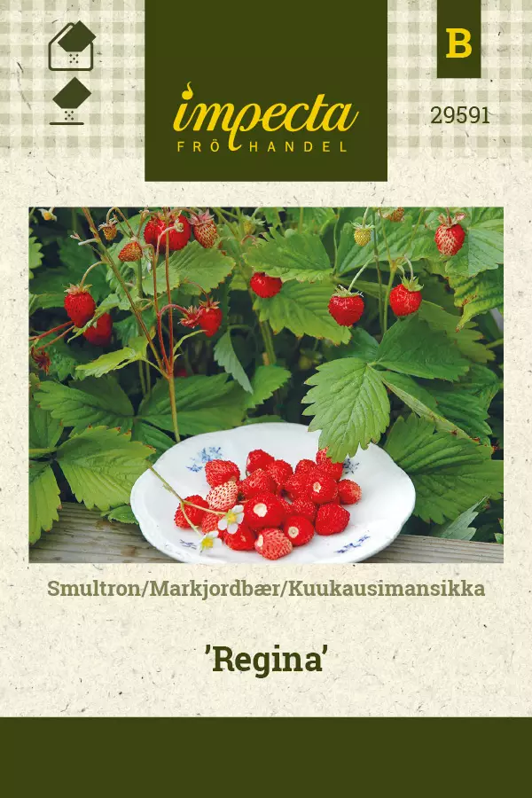 Kuukausimansikka Regina - Vihannesten ja yrttien siemenet - 7332756295915 - 0