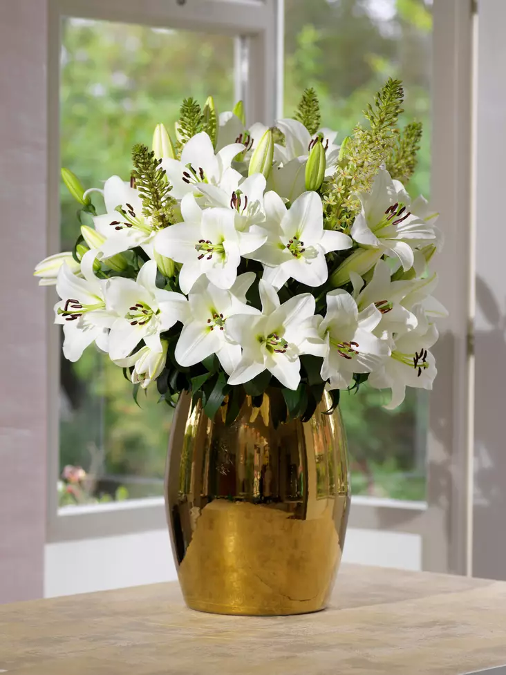 Lilja Asiaric White 2 kpl/pkt - Kukkasipulit - 8711148242185 - 1