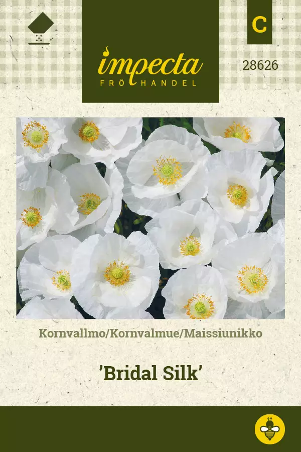 Maissiunikko Bridal Silk - Kukkien ja koristeheinien siemenet - 7332756286265 - 0