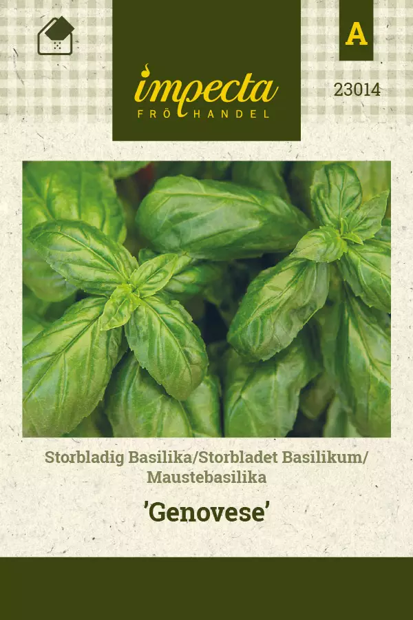 Maustebasilika Genovese - Vihannesten ja yrttien siemenet - 7332756230145 - 0