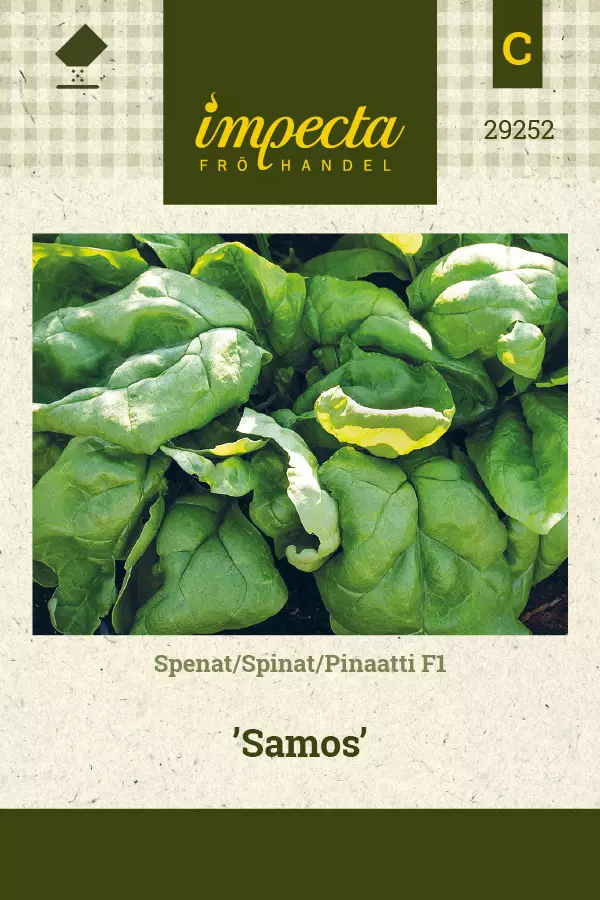 Pinaatti F1 Samos - Vihannesten ja yrttien siemenet - 7332756292525 - 0