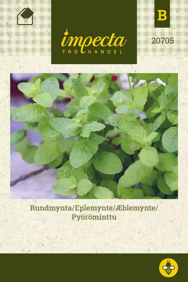 Pyöröminttu - Vihannesten ja yrttien siemenet - 7332756207055 - 0