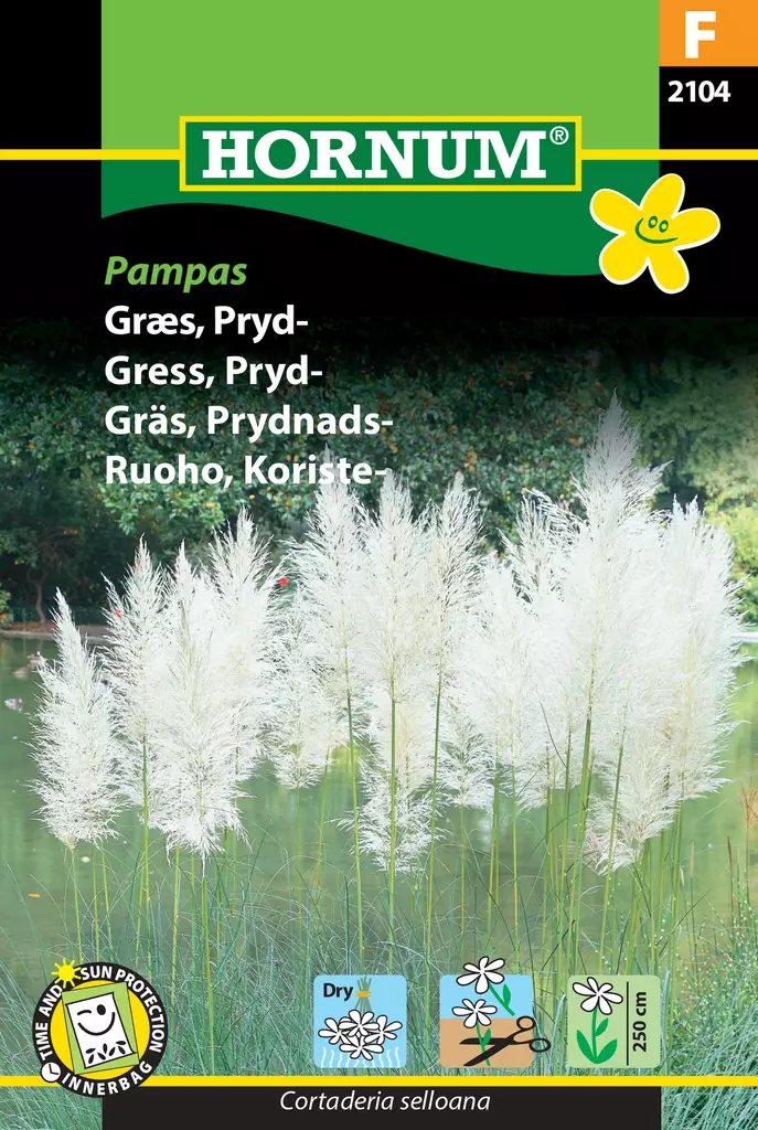 Ruoho, Koriste- Pampas - Kukkien ja koristeheinien siemenet - 5708787021045 - 0