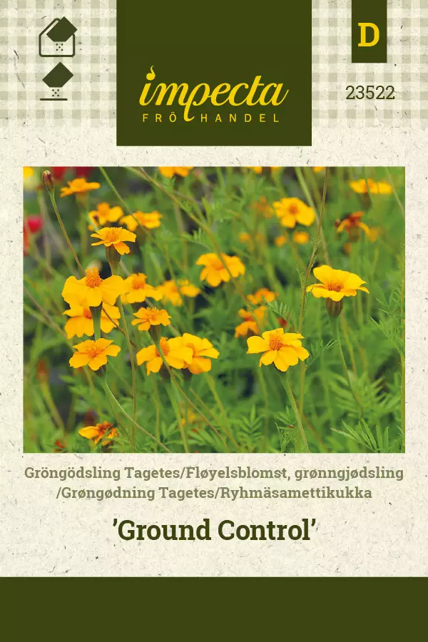 Ryhmäsamettikukka Ground Control - Kukkien ja koristeheinien siemenet - 7332756235225 - 0
